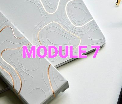 TASK 2-Part 1: The Small Details: Module 7