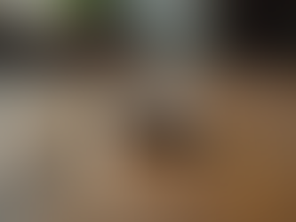 Prednosti burmi od kirurškog čelika