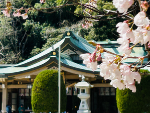 春めいてきました。