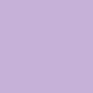 AP89-5 Bouquet Violet