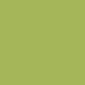 AP112-4 Willow Branch