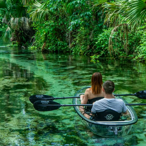 Two adults kayaking on a river 