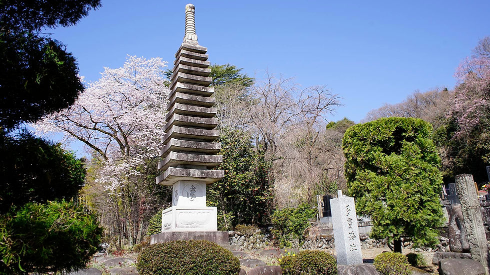 多宝塔跡01