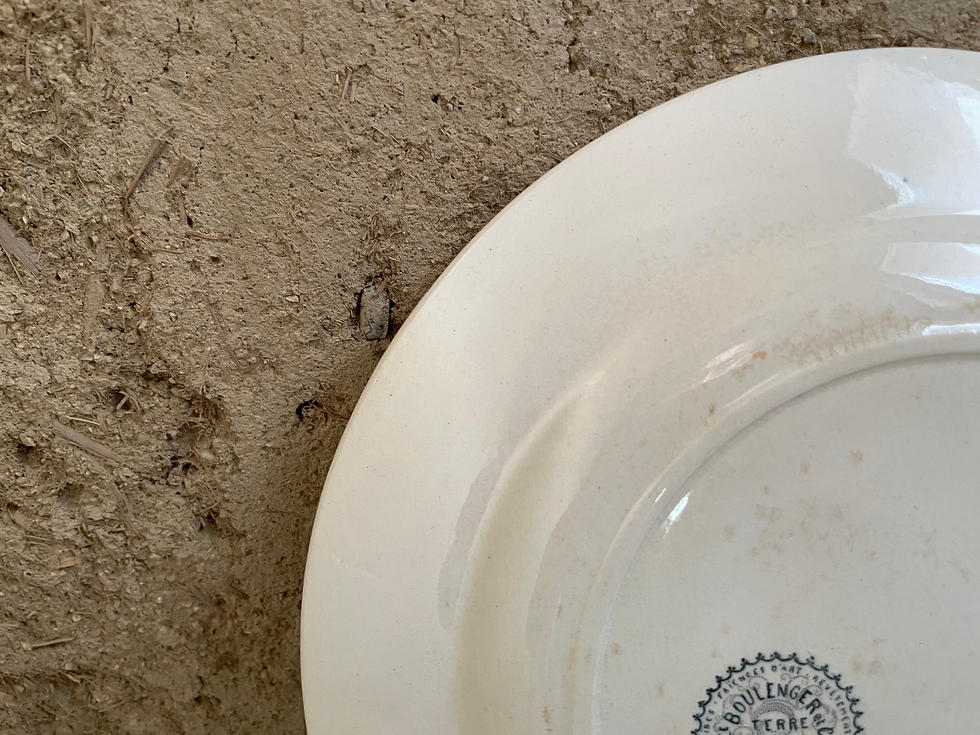 サムネイル： Choisy le Roi / ショワジールロワ  ディナープレート　N-960