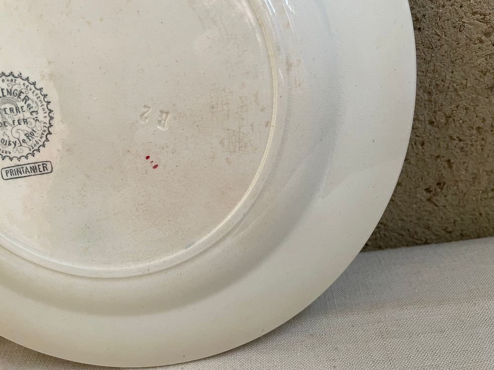 サムネイル： Choisy le Roi / ショワジールロワ  ディナープレート　N-960