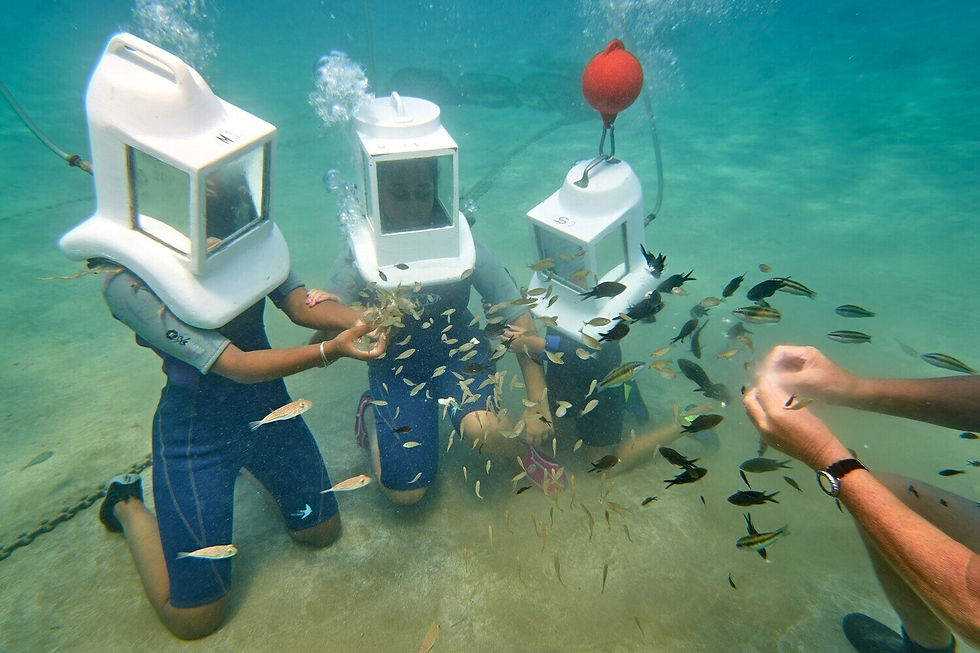 undersea_adventures 1.jpg