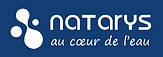 Logo Natarys.png