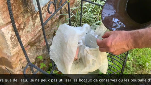 Miniature : BBG : inf'eau'soins pour les plantes