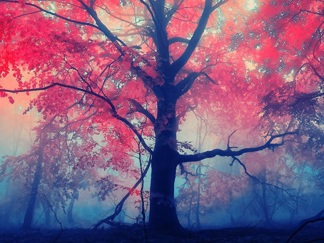 MY RADICAL THOUGHTS ON GROWTH