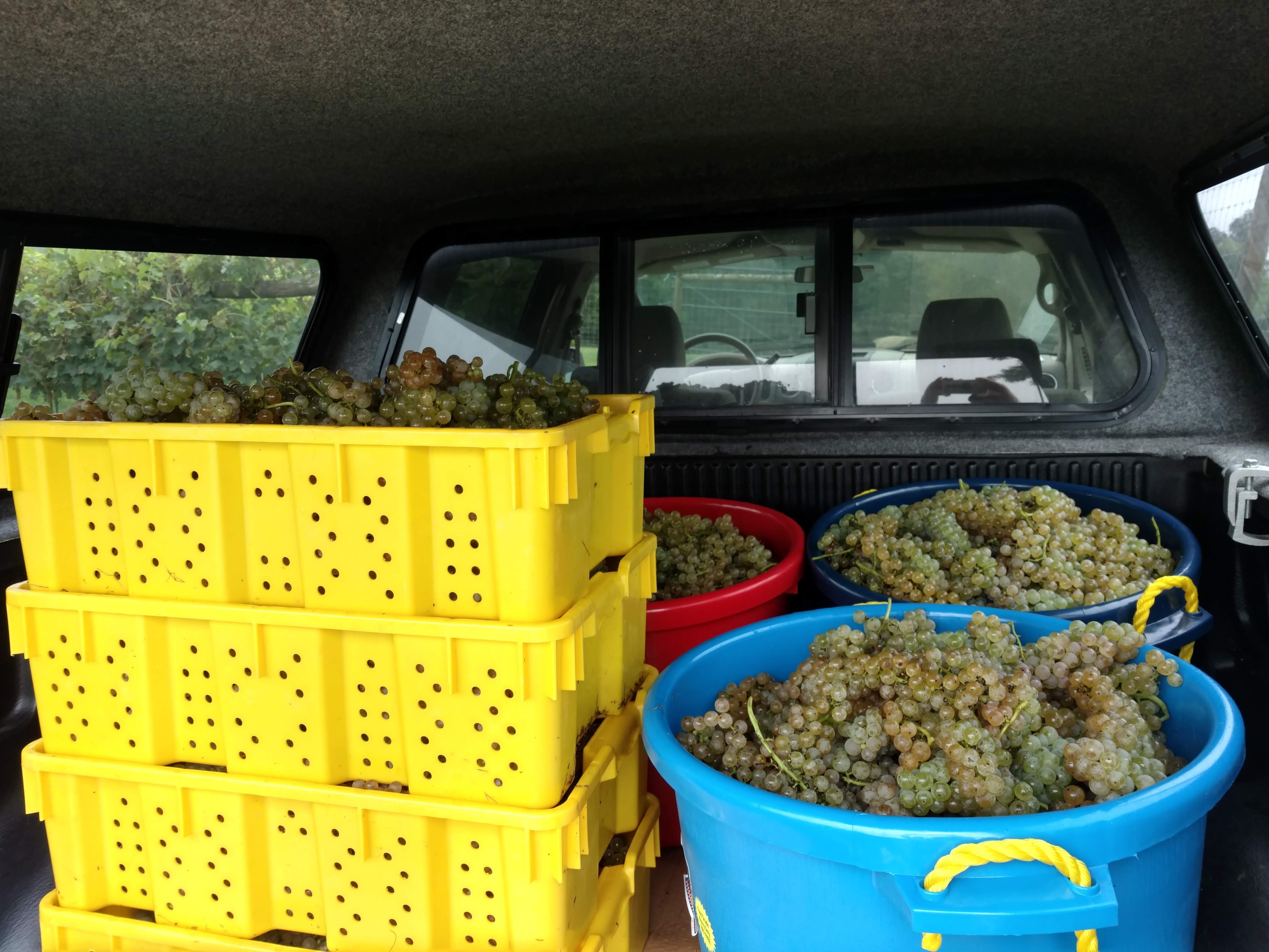 About Spinning Jenny Vineyard Draper, VA