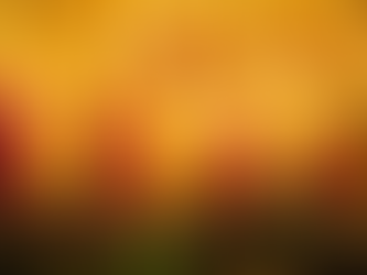 How to Rejoice in the Lord Always