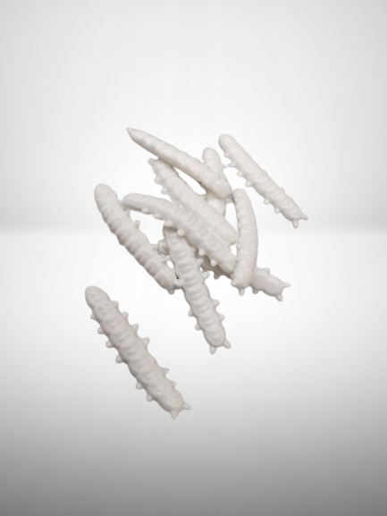 Thumbnail: AR Softbait Wiggle - Der perfekte Madenersatz für erfolgreiche Forellenangelausflüge