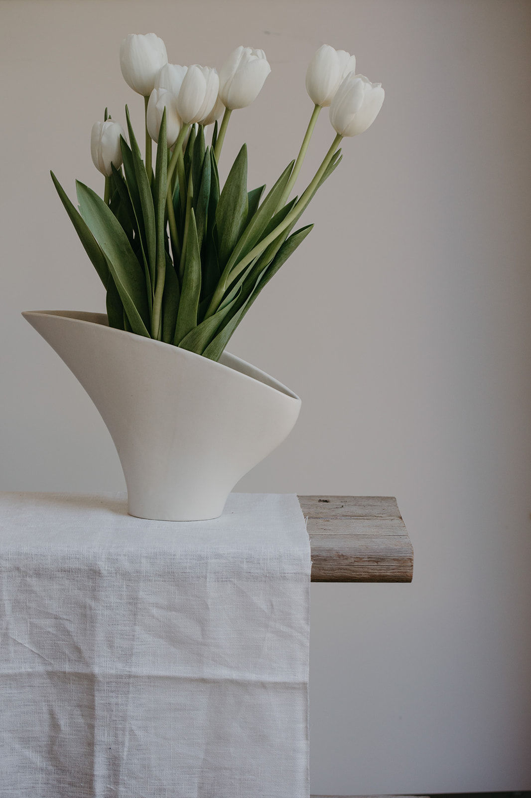 The Tulip Matzah Holder