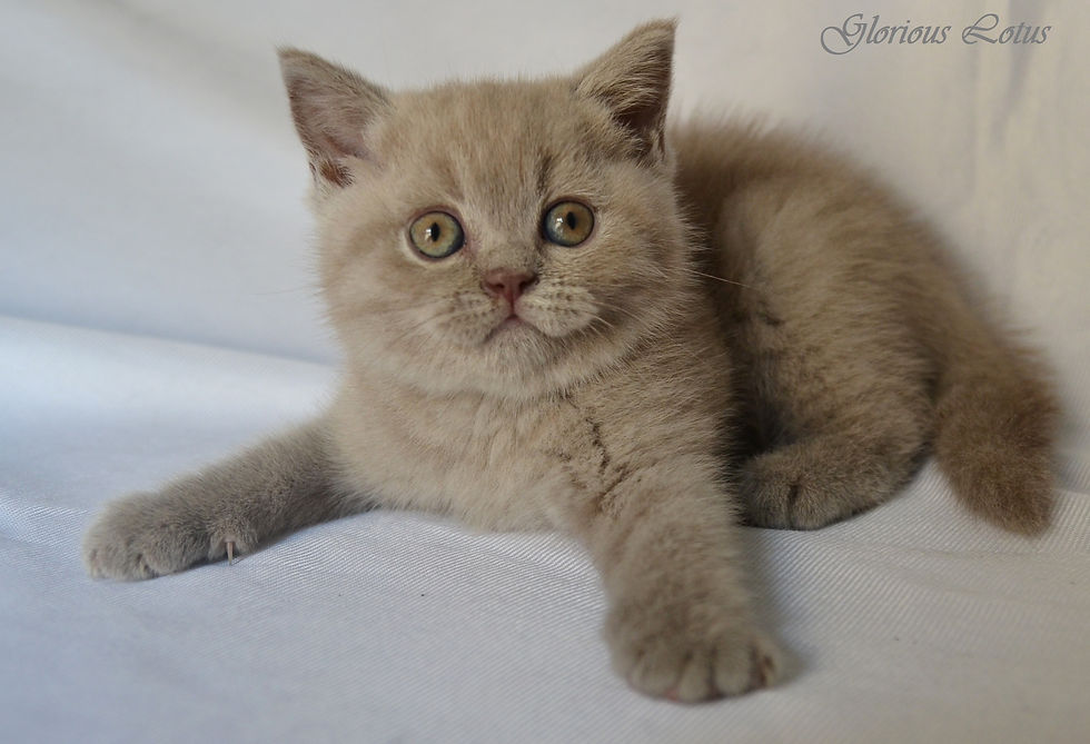 DSC_8539 СУПЕР!.jpg