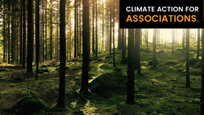 New Study: Forests in Australia Emitting More Carbon Than They Absorb