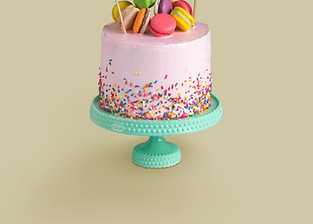 books for cake makers