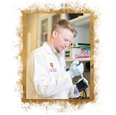 Copy of Copy of Wite Quartz and Strawberry Quartz (1).png