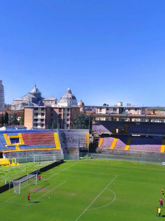 stadio pisa progetto no logo small.jpg