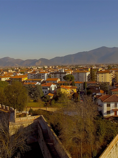 Barbagianni Aerea AlphaRobotiX 7.png