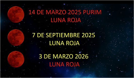 Captura de pantalla 2025-08-22 193257.png