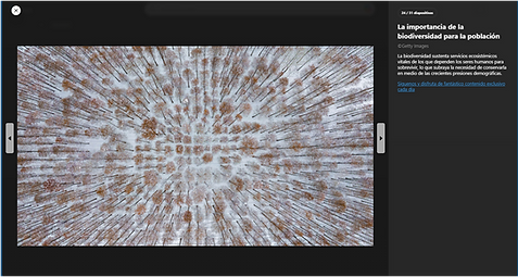 Captura de pantalla 2025-08-04 080423.png