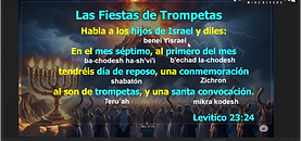 Captura de pantalla 2025-07-27 155709.png