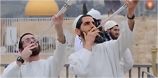 Captura de pantalla 2025-07-17 092659.png