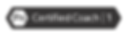 PN_CertL1_badge_ART Cropped Grey.png