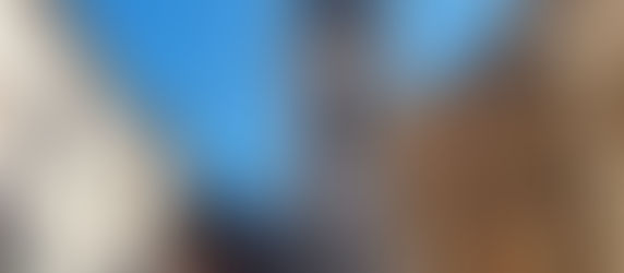 Серце міста Лева