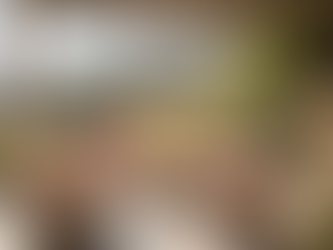 Unwind in Naddi: Tranquil Trails Home Stay Experience