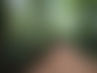 スリランカ建築行脚（9）