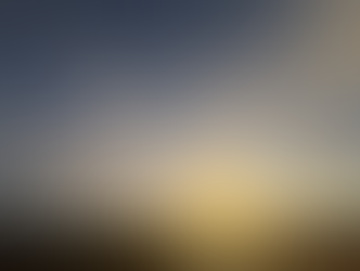 本年も宜しくお願い致します。