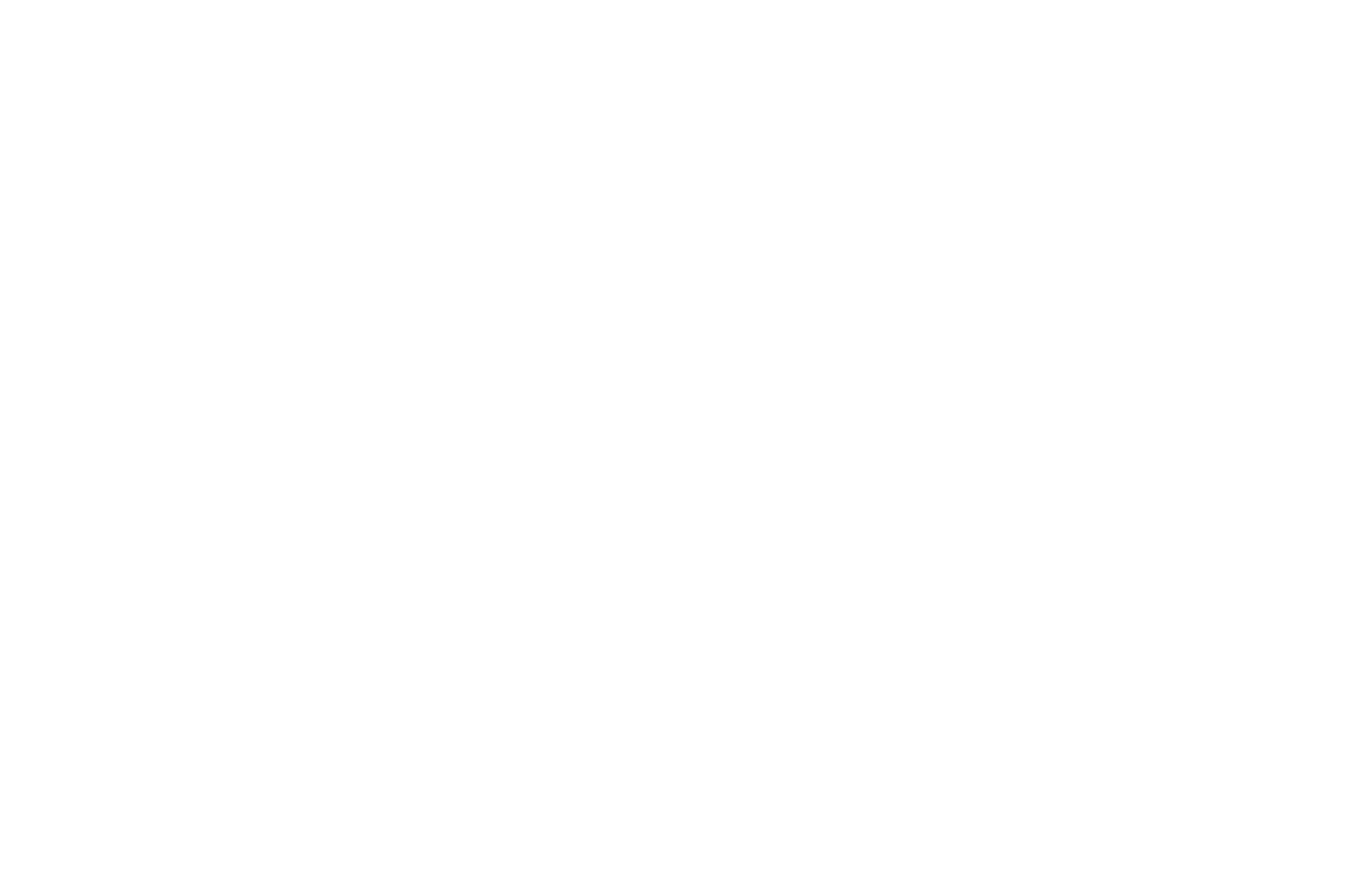 white playbook design elements