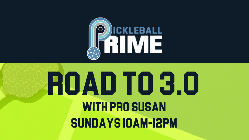 ROAD TO 3.0 WITH PRO SUSAN