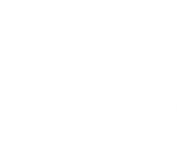JMF givebutter banner-4.png