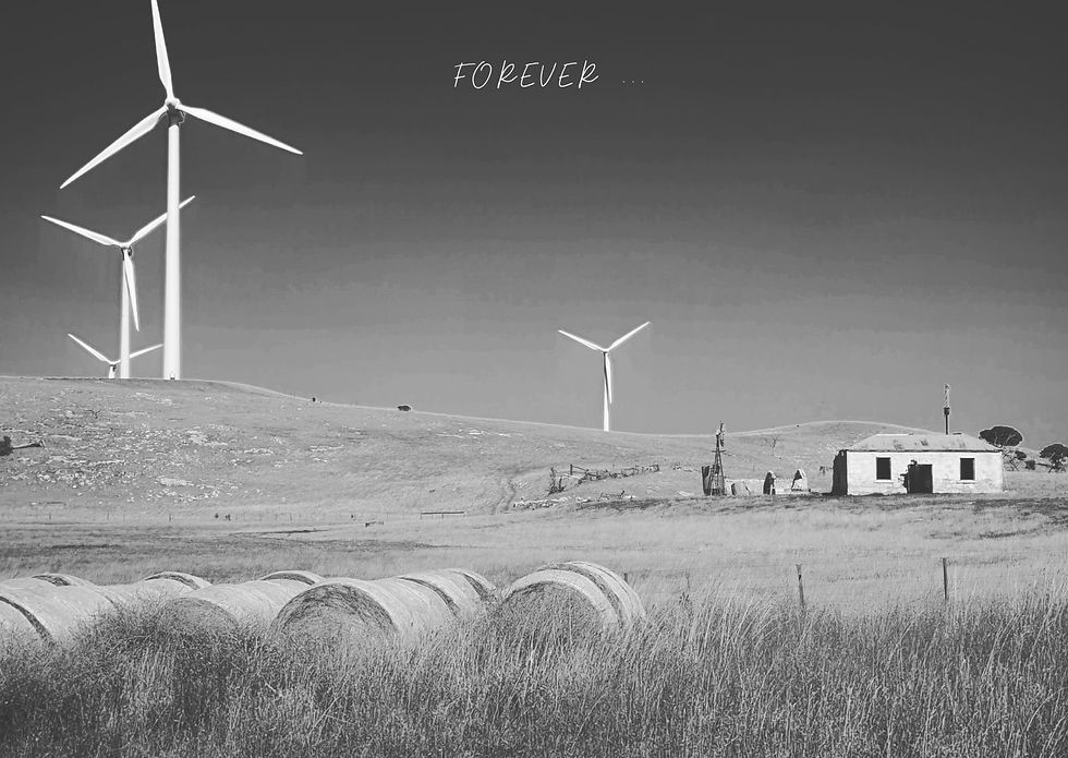 Farm Scene