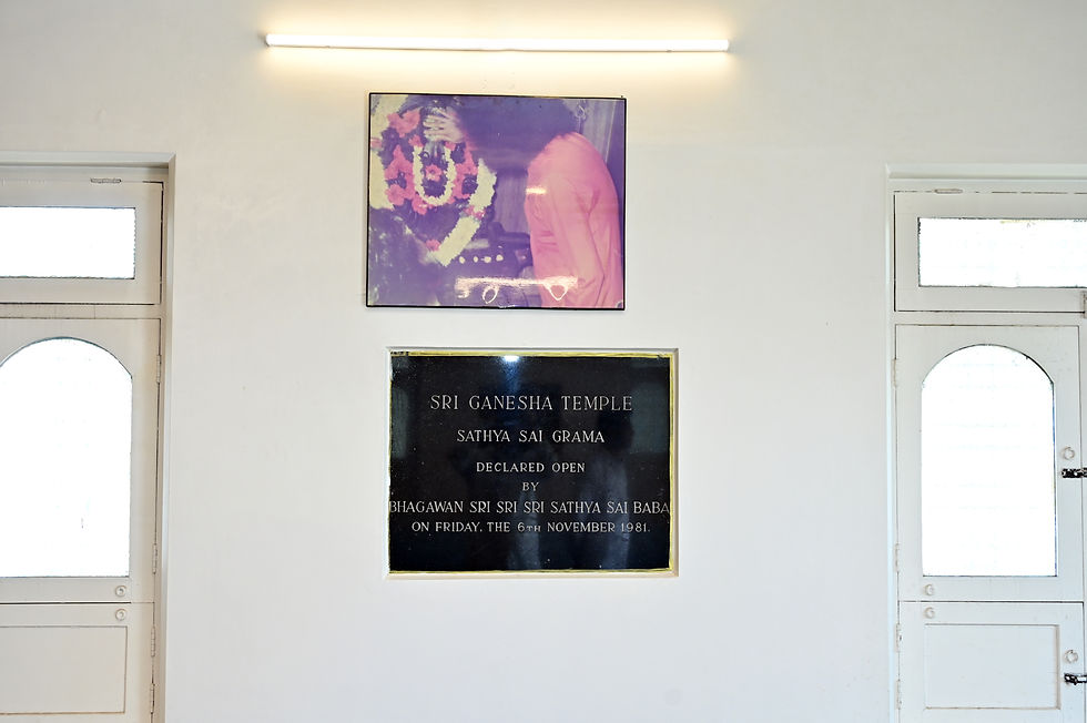 Z6R_7692.JPG