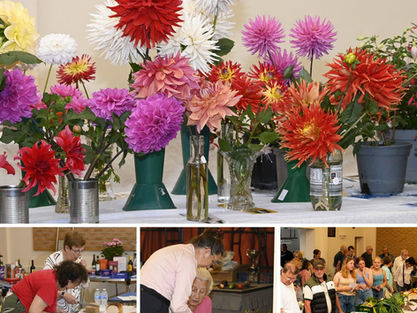 82nd Packington Annual Village Show