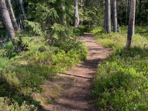 Kuidas üks siiras tagasiside pani mind taas oma rada usaldama.