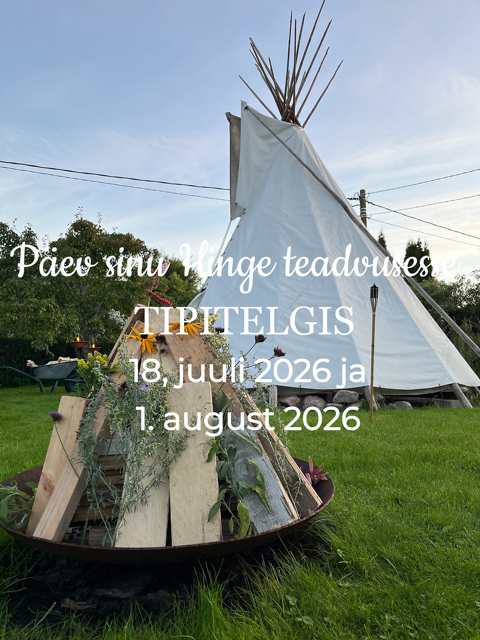 PÄEV SINU HINGE TEADVUSESSE - TIPITELGIS