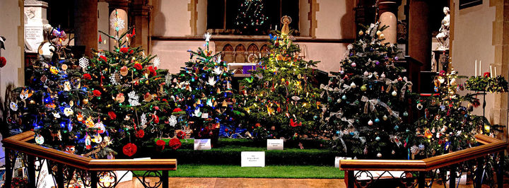 Christmas tree 2022-1_edited.jpg