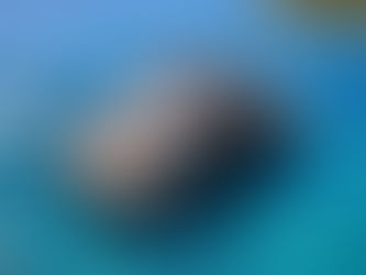 Weekly Yacht Charter Turkey: The Ultimate 7-Day Luxury Guide (2026)