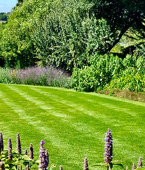 Lawn care Kent