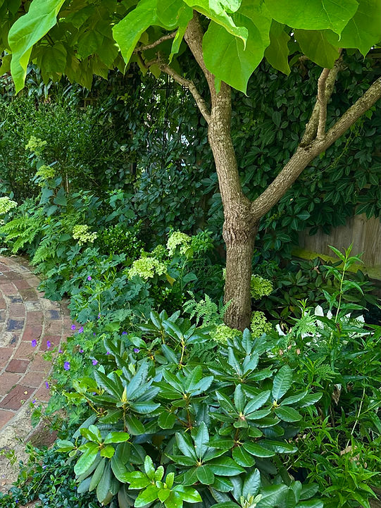 Expert Garden Maintnance Services Kent