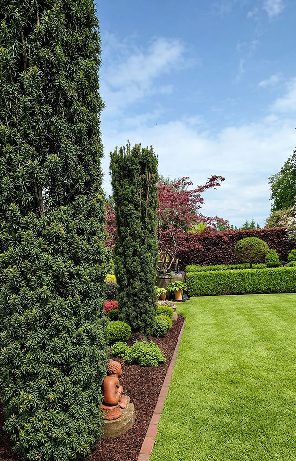 Garden Maintenance Coxheath_edited.jpg