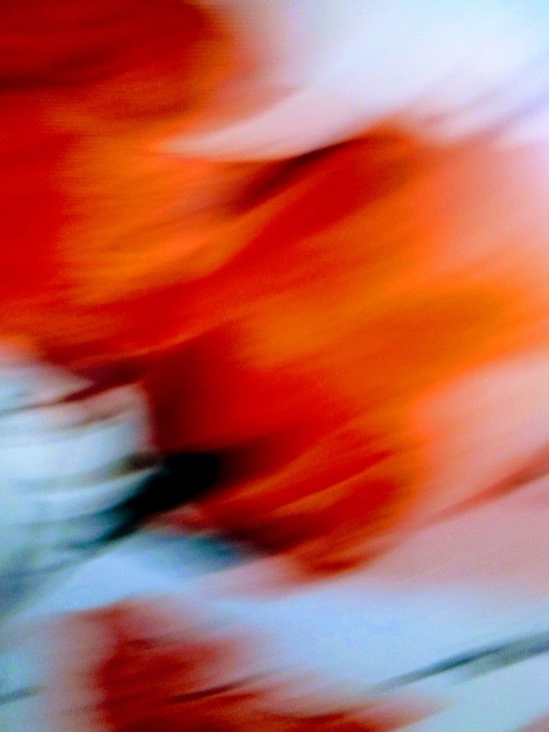FONDO CREAT.jpg