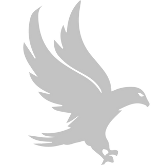 Favicon Believe Sports_edited.png
