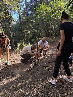 WhatsApp Image 2025-09-29 at 15.12.28.jpeg