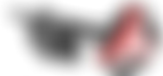 2020 Words of the Year - Banding Edition