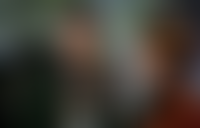 A real disney fantasy